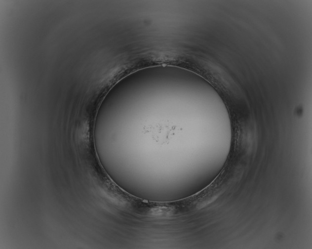 X0000093450700200710191103