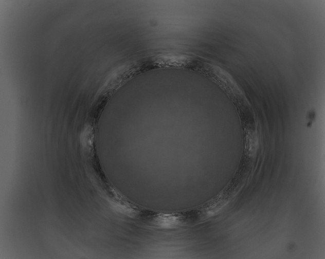 X0000093450701200710191103