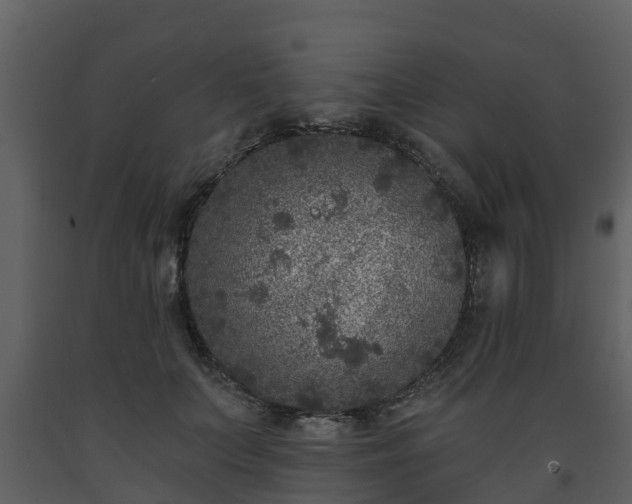 X0000093450703200710191103