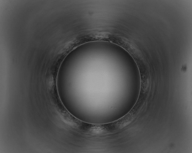 X0000093450704200710191103