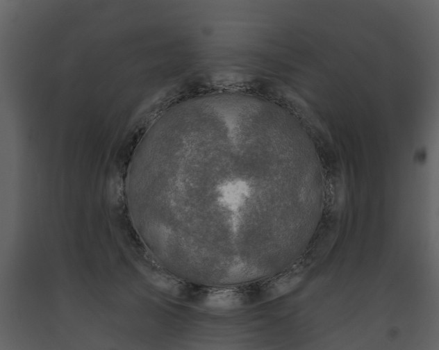 X0000093450705200710191103