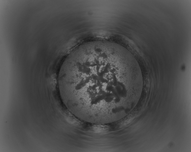 X0000093450707200710191103