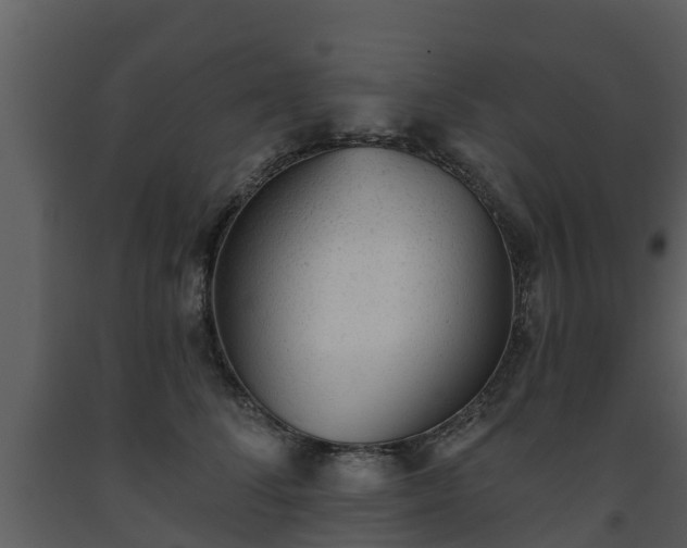 X0000093450708200710191103