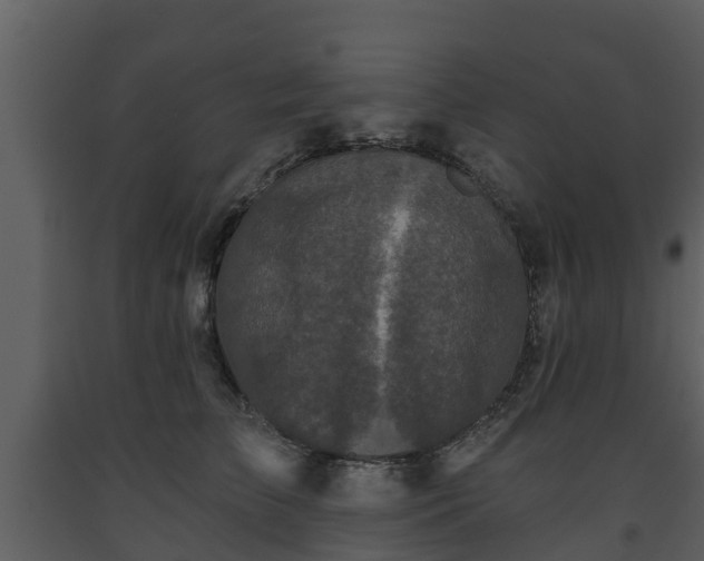 X0000093450709200710191103