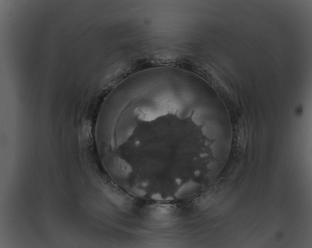 X0000093450711200710191103