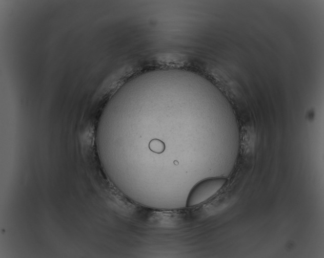 X0000093450713200710191103