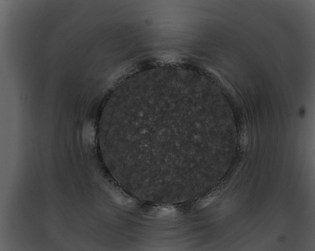 X0000093450715200710191103