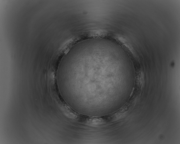 X0000093450716200710191103