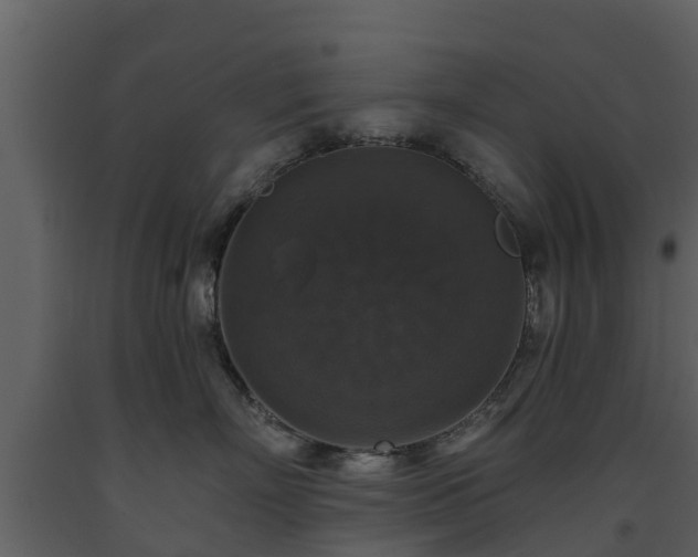 X0000093450718200710191103