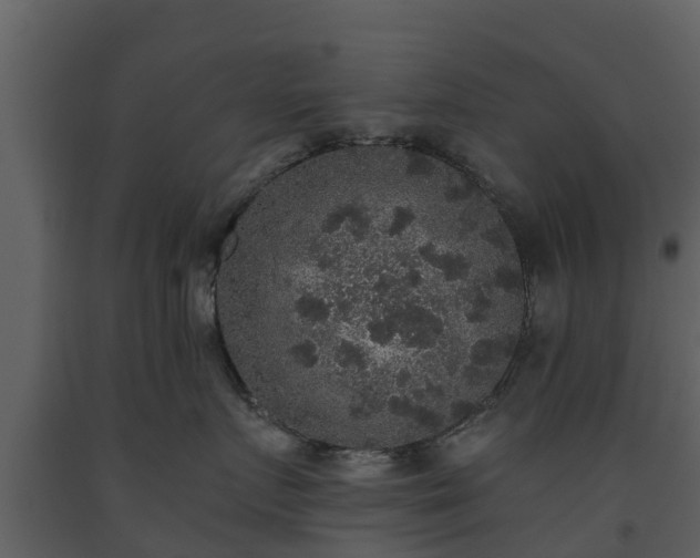 X0000093450719200710191102