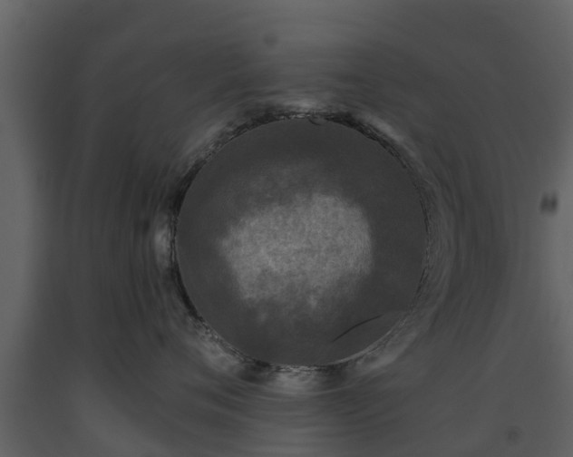 X0000093450720200710191102