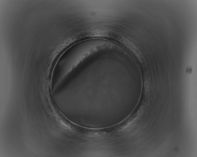 X0000093450721200710191102