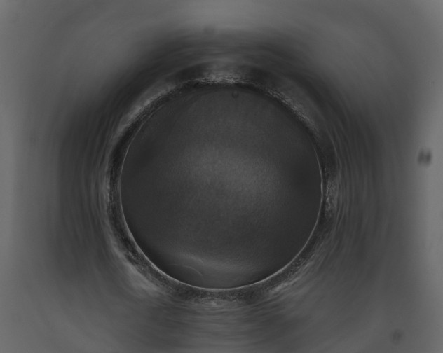 X0000093450722200710191102