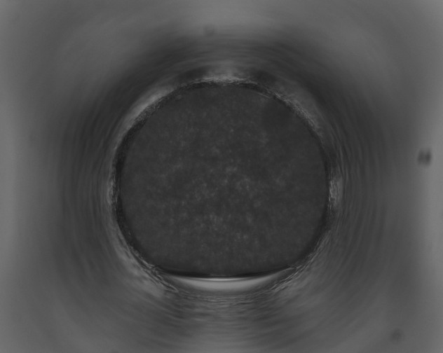 X0000093450724200710191102