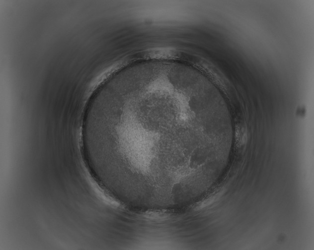 X0000093450725200710191102