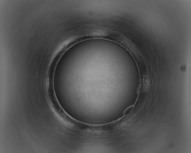 X0000093450726200710191102