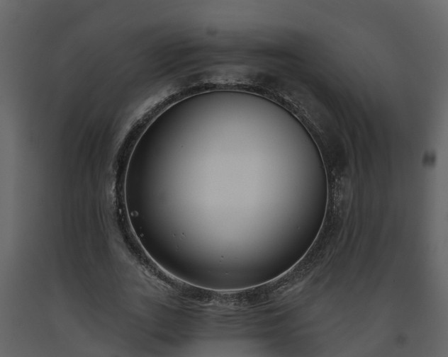 X0000093450727200710191102