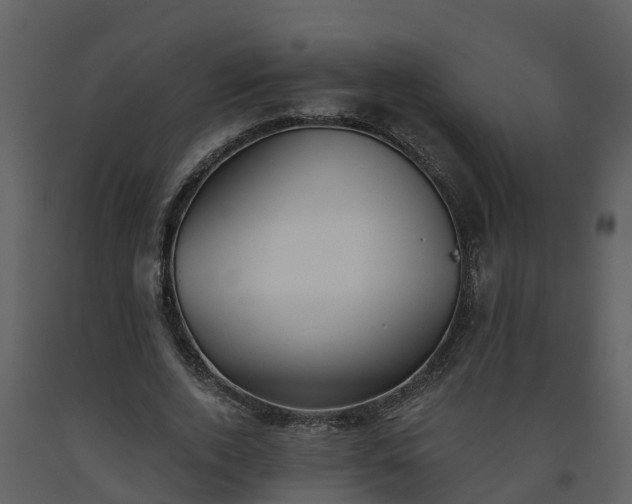 X0000093450728200710191102