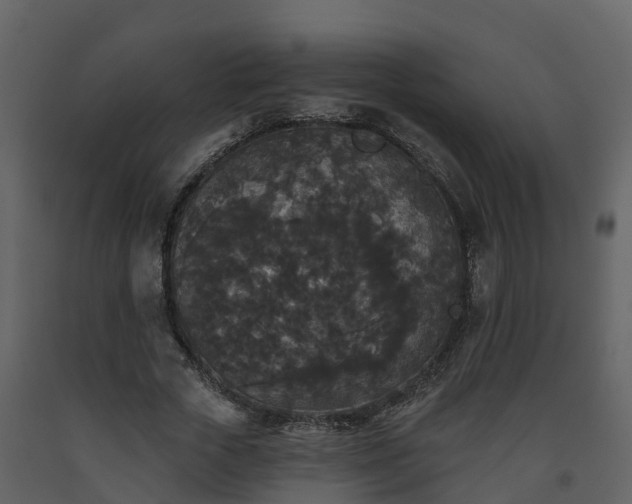 X0000093450729200710191102