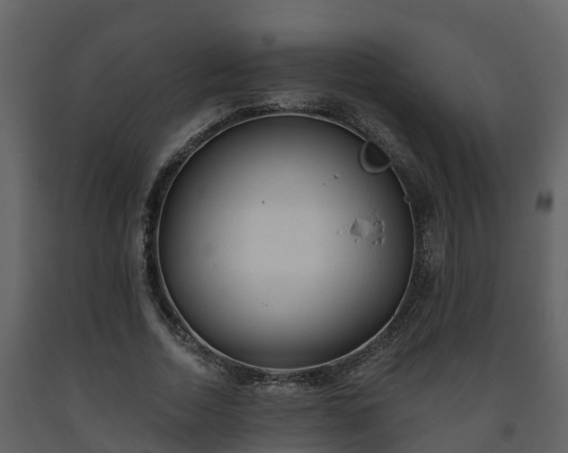 X0000093450730200710191102