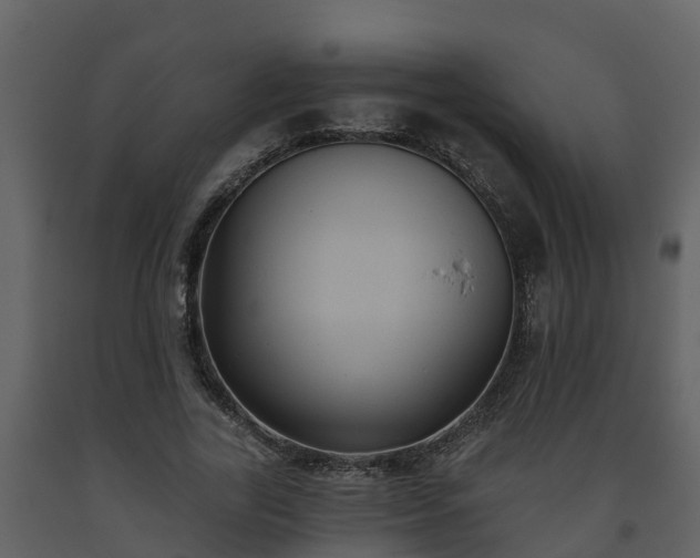 X0000093450731200710191102