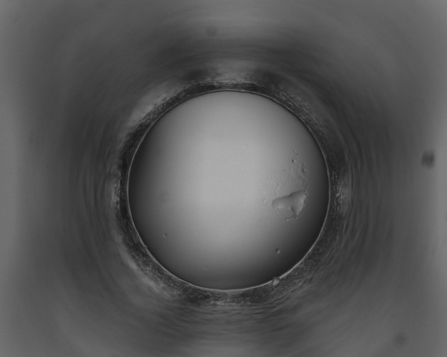 X0000093450732200710191102