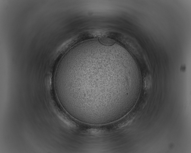 X0000093450733200710191102