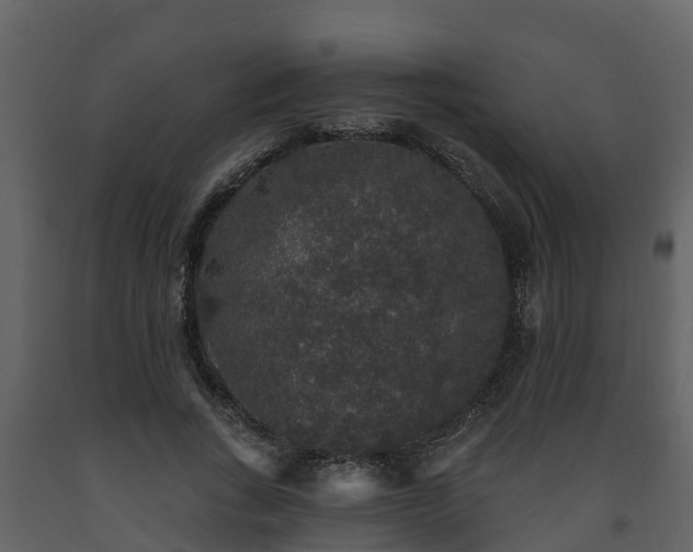 X0000093450735200710191102