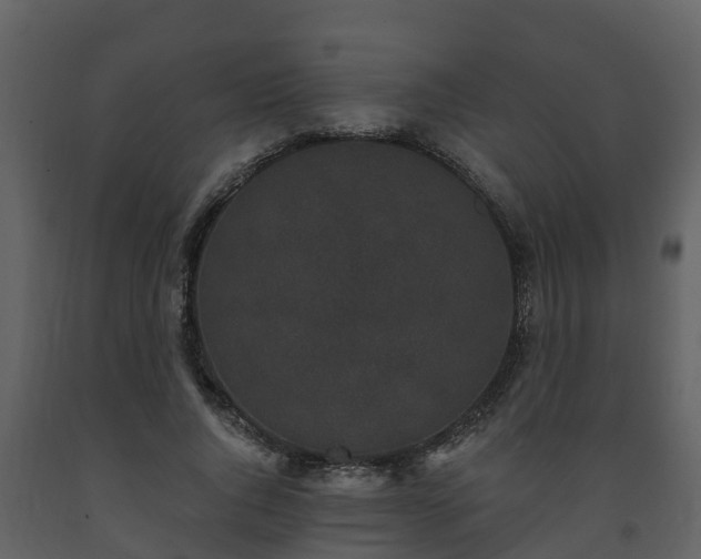 X0000093450736200710191102