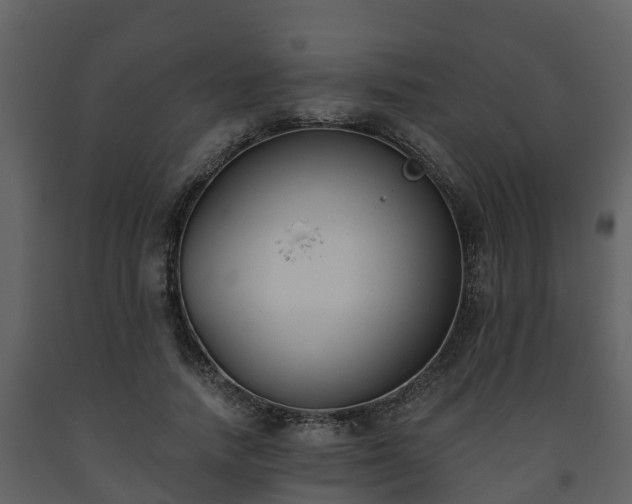 X0000093450738200710191102