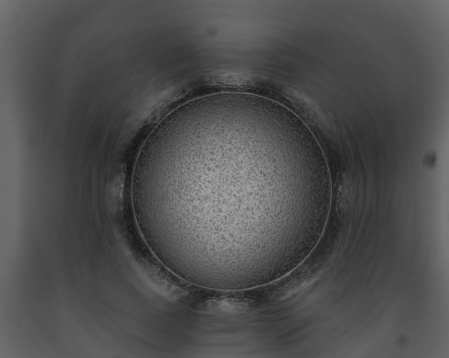 X0000093450739200710191102