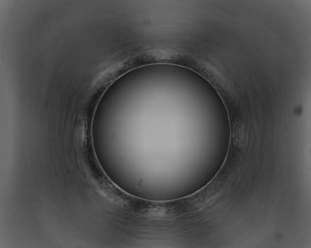 X0000093450740200710191102