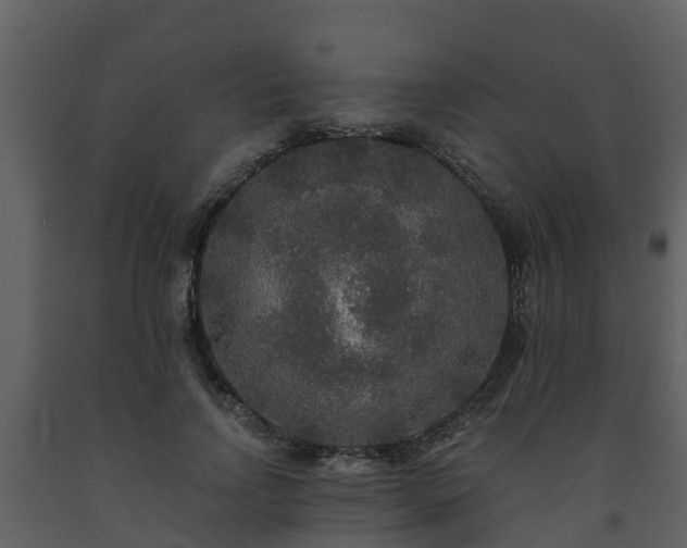 X0000093450742200710191102