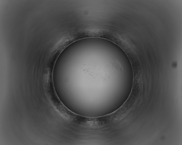 X0000093450744200710191102