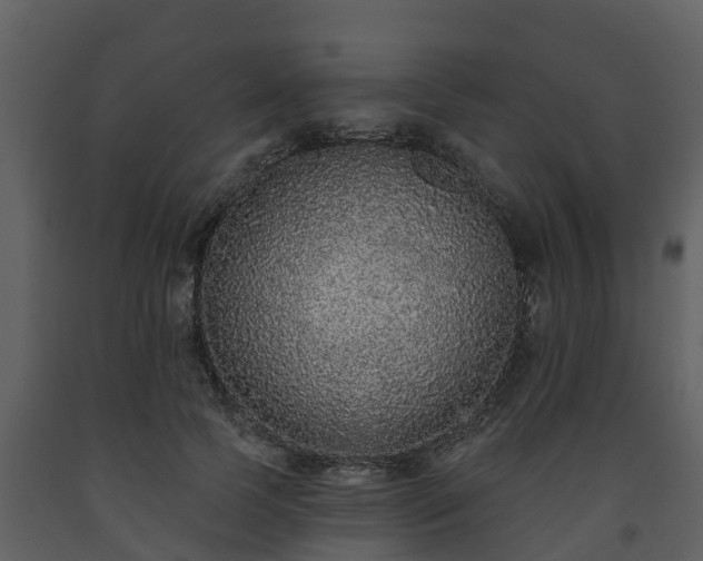 X0000093450745200710191102