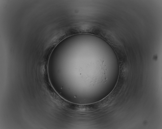 X0000093450746200710191102