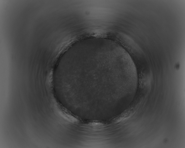 X0000093450748200710191102