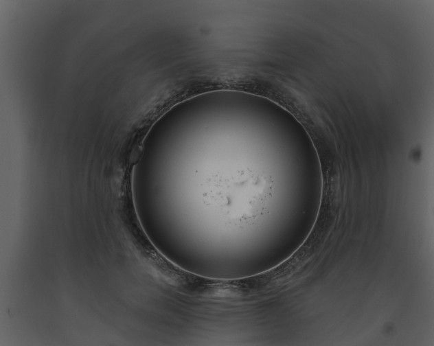 X0000093450750200710191102