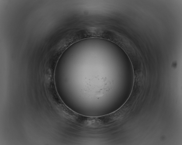 X0000093450752200710191102