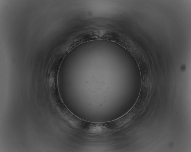 X0000093450754200710191102