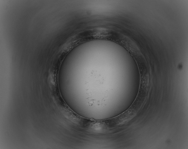 X0000093450755200710191102