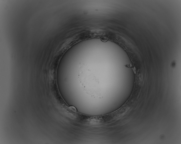 X0000093450756200710191102