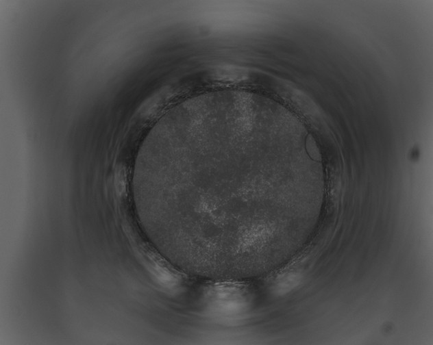 X0000093450758200710191102