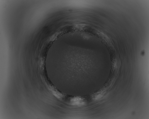 X0000093450759200710191102