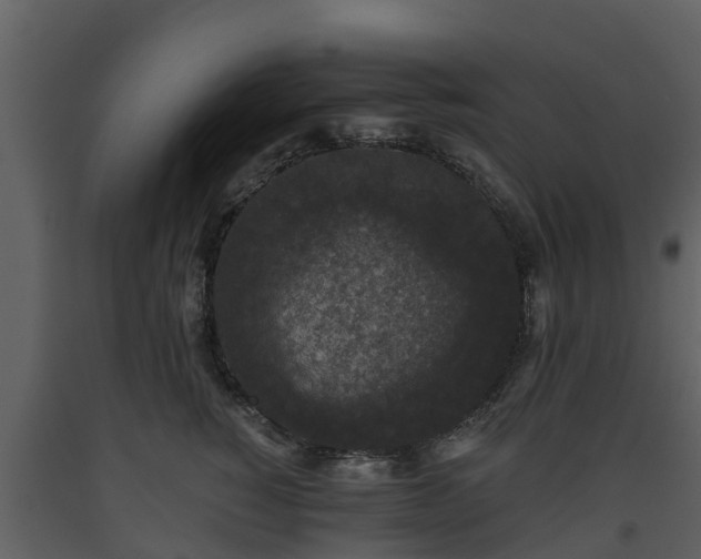 X0000093450760200710191102