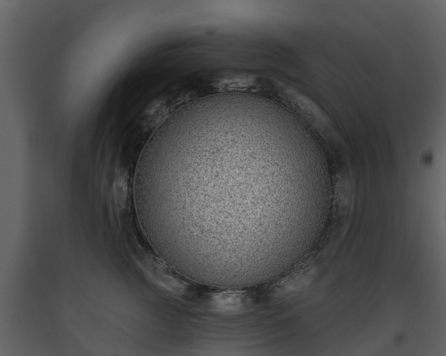 X0000093450761200710191102