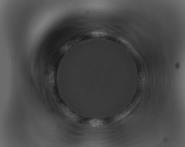 X0000093450762200710191102