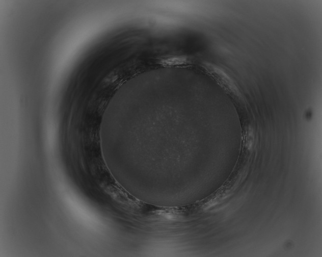 X0000093450763200710191102