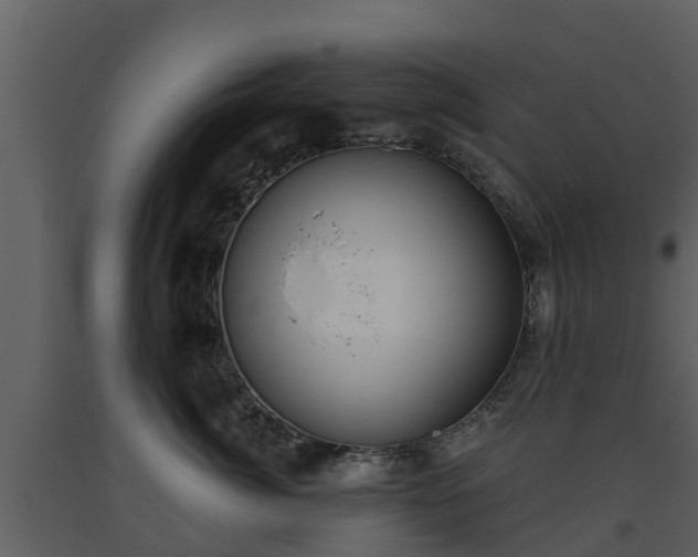 X0000093450764200710191102