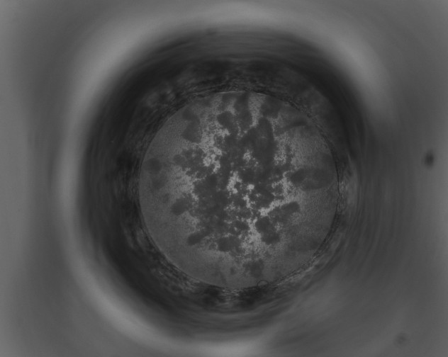 X0000093450765200710191102